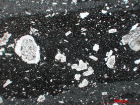 Andésite Andésite présentant des figures de mélange de magma Axe volcanique trans-mexicain Pico de Orizaba  