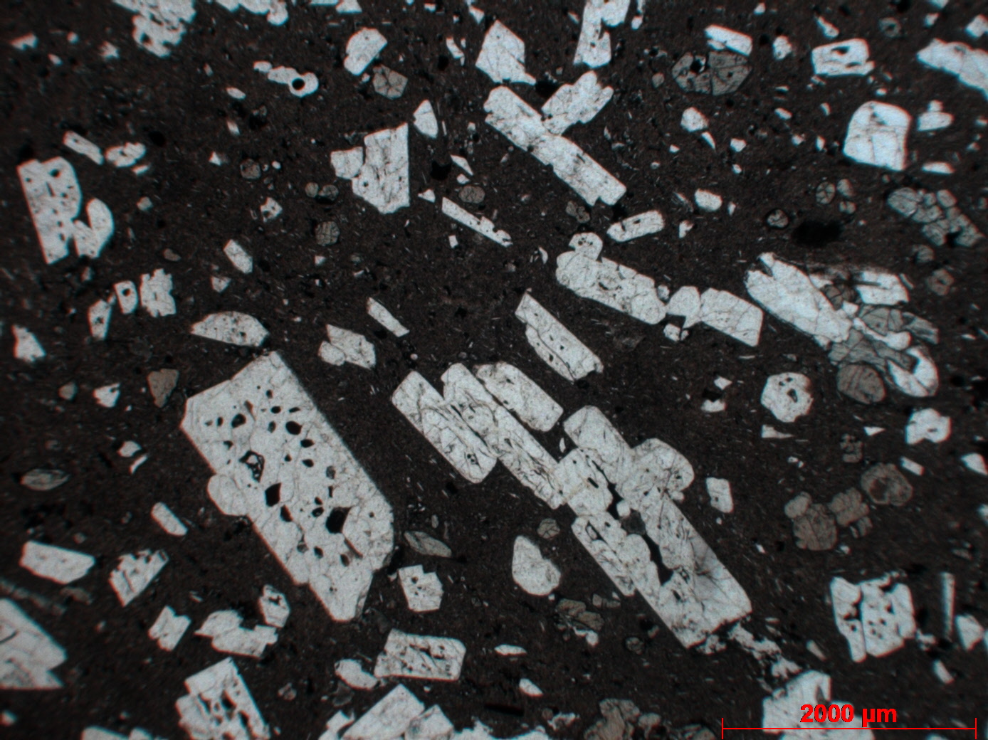 Dacite Dacite porphyrique à plagioclase et pyroxène Axe volcanique trans-mexicain Popocatepetl Metepec 