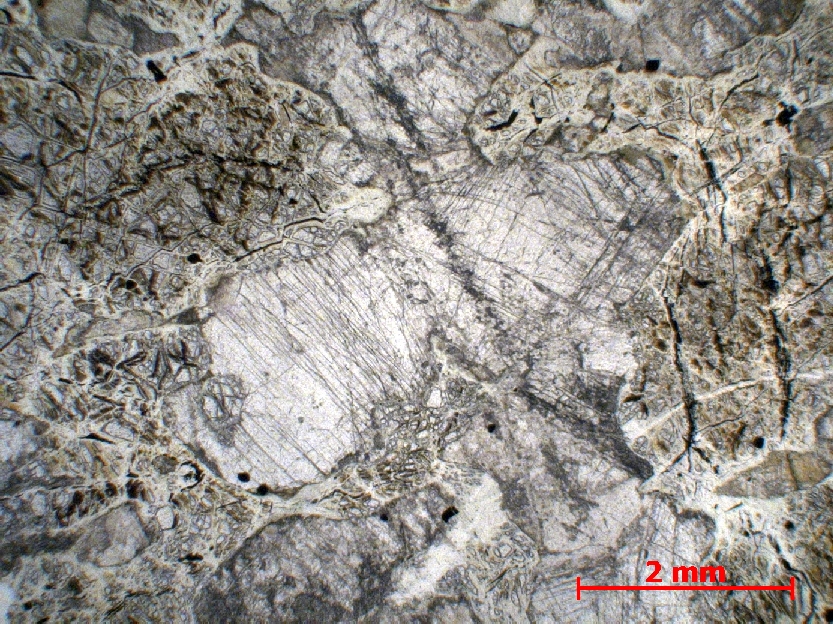  Microscope Dunite Dunite imprégnée de liquide gabbroïque Monts Hajar  Mahram 