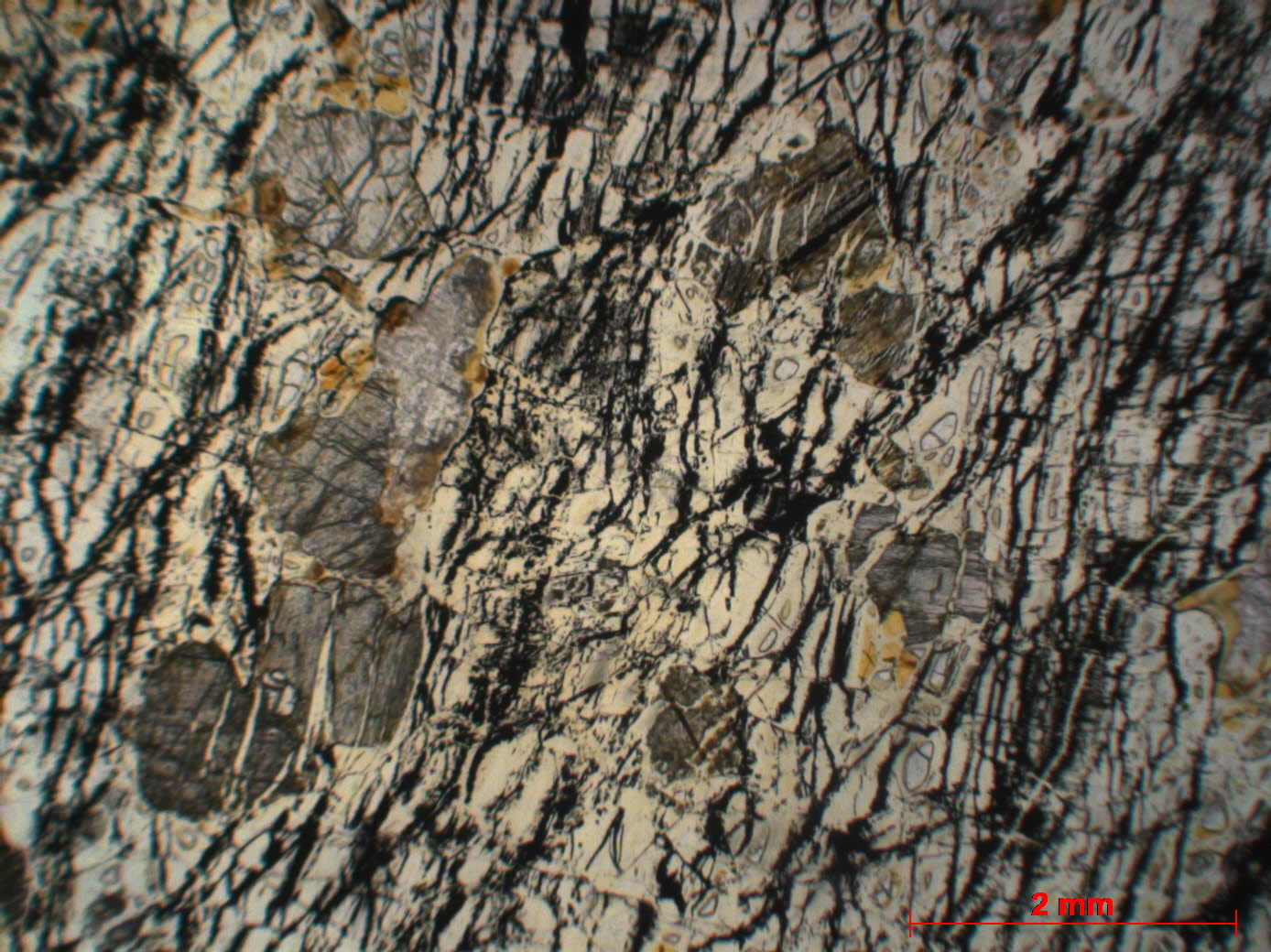 Wehrlite Wehrlite Massif ophiolitique de Semail  Mahram 