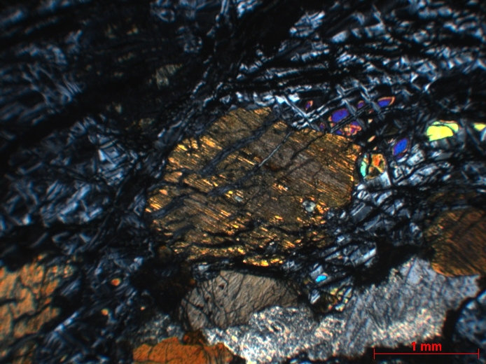  Microscope Wehrlite Wehrlite Massif ophiolitique de Semail  Mahram 