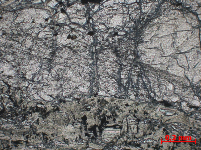  Microscope Mylonite de harzburgite Mylonite de harzburgite Monts Hajar Massif de Wadi Tayin Wadi Tayin 