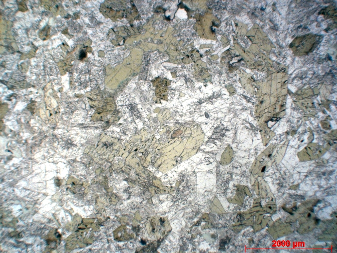  Microscope Diorite Diorite Monts Hajar Wadi Haymiliyah  