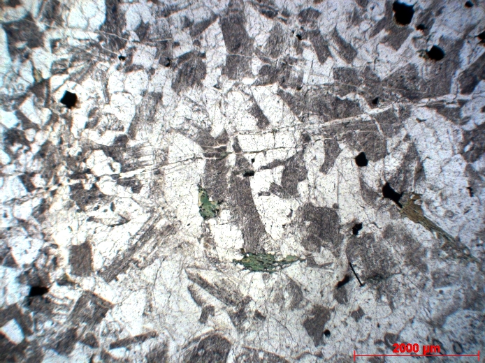  Microscope Plagiogranite Plagiogranite Monts Hajar Wadi Haymiliyah  