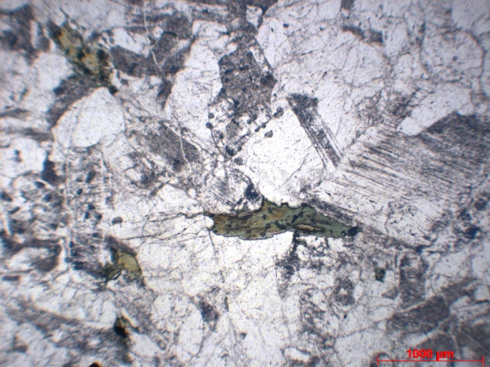  Microscope Plagiogranite Plagiogranite Monts Hajar Wadi Haymiliyah  