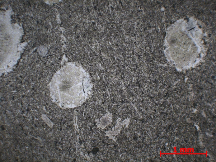 Microscope Basalte Basalte altéré Massif ophiolitique de Semail   