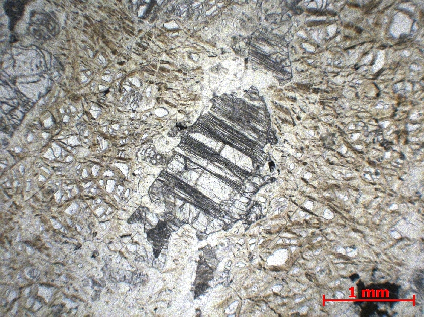  Microscope Harzburgite Harzburgite serpentinisée Monts Hajar Wadi Haymiliyah  