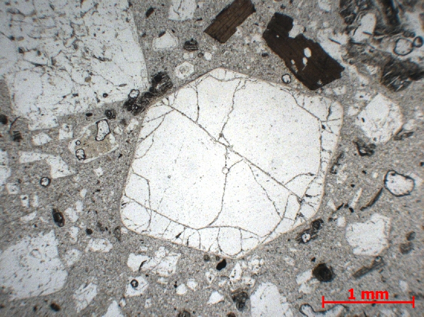  Microscope Dacite à grenat Dacite du dôme de Gros Ilet Petites Antilles  Les Trois Ilets Pointe Vatable