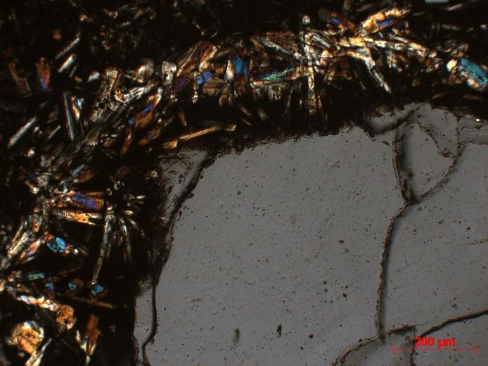  Microscope Basalte à quartz Basalte à xénocristaux de quartz et plagioclase Petites Antilles Morne Champagne  