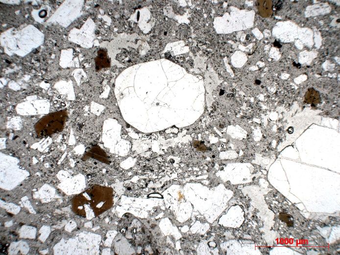  Microscope Dacite Dacite du volcan des Pitons du Carbet Petites Antilles  Bellefontaine Fond Capot