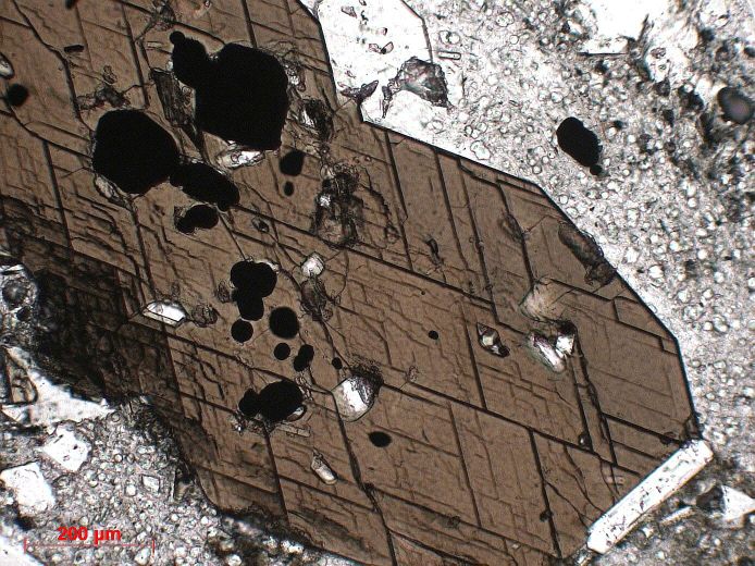  Microscope Dacite Dacite du volcan des Pitons du Carbet Petites Antilles  Bellefontaine Fond Capot