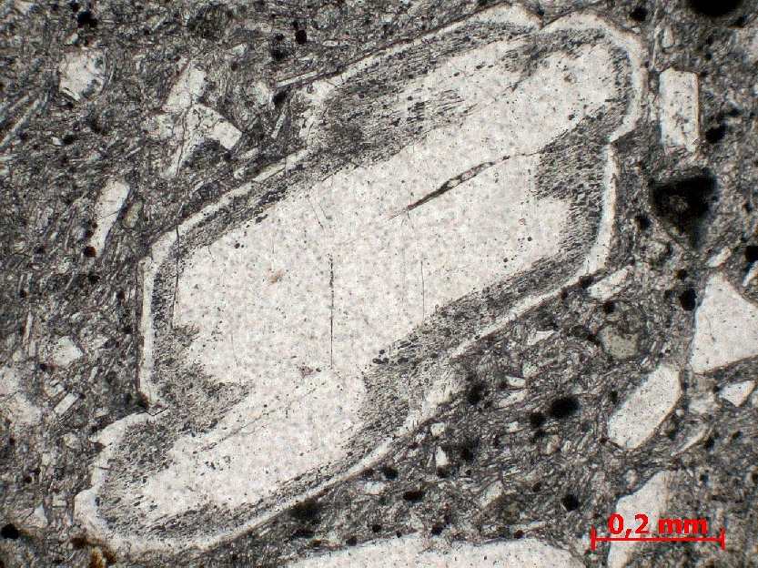  Microscope Dacite Dacite de la Montagne Pelée Petites Antilles La Montagne Pelée  
