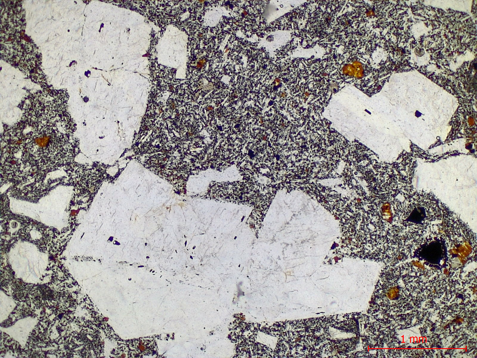 Hawaiite Trachybasalte à plagioclase dit “Roche pintade“ Point chaud de La Réunion Piton des Neiges  