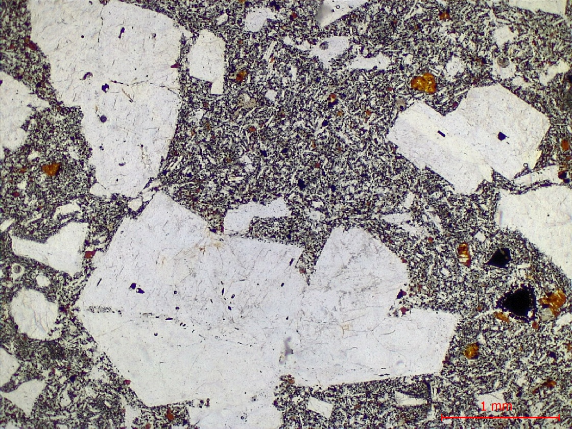  Microscope Hawaiite Trachybasalte à plagioclase dit “Roche pintade“ Point chaud de La Réunion Piton des Neiges  