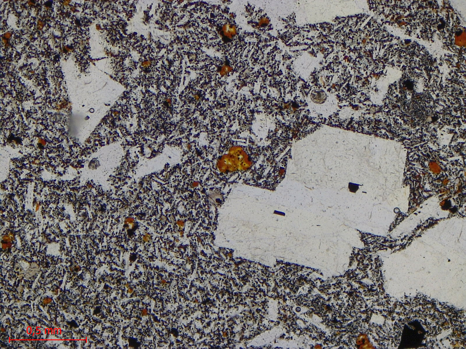 Hawaiite Trachybasalte à plagioclase dit “Roche pintade“ Point chaud de La Réunion Piton des Neiges  