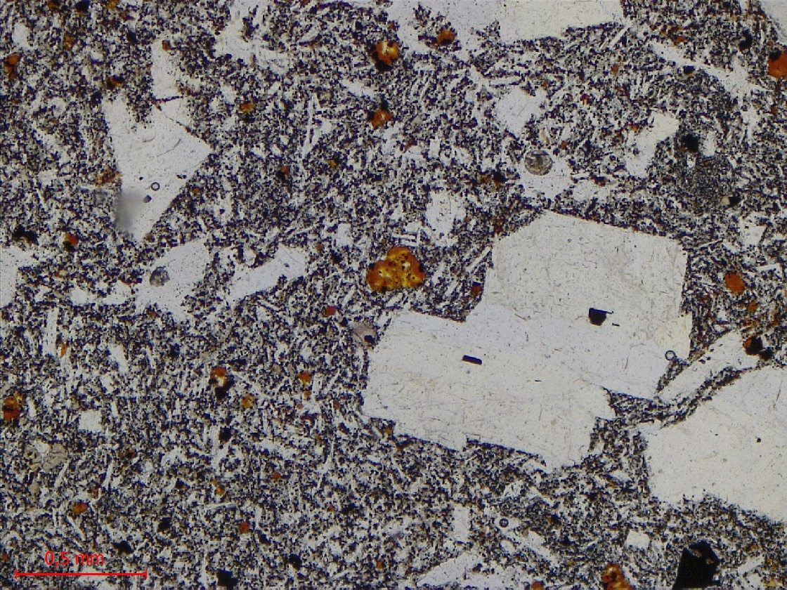  Microscope Hawaiite Trachybasalte à plagioclase dit “Roche pintade“ Point chaud de La Réunion Piton des Neiges  