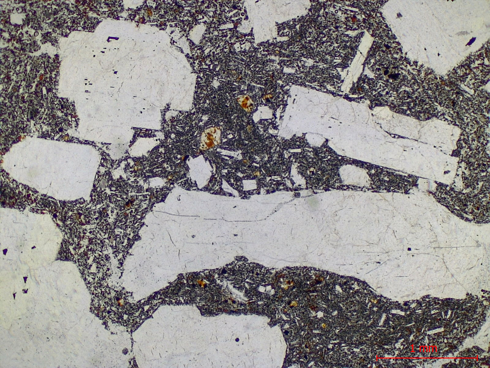 Hawaiite Trachybasalte à plagioclase dit “Roche pintade“ Point chaud de La Réunion Piton des Neiges  