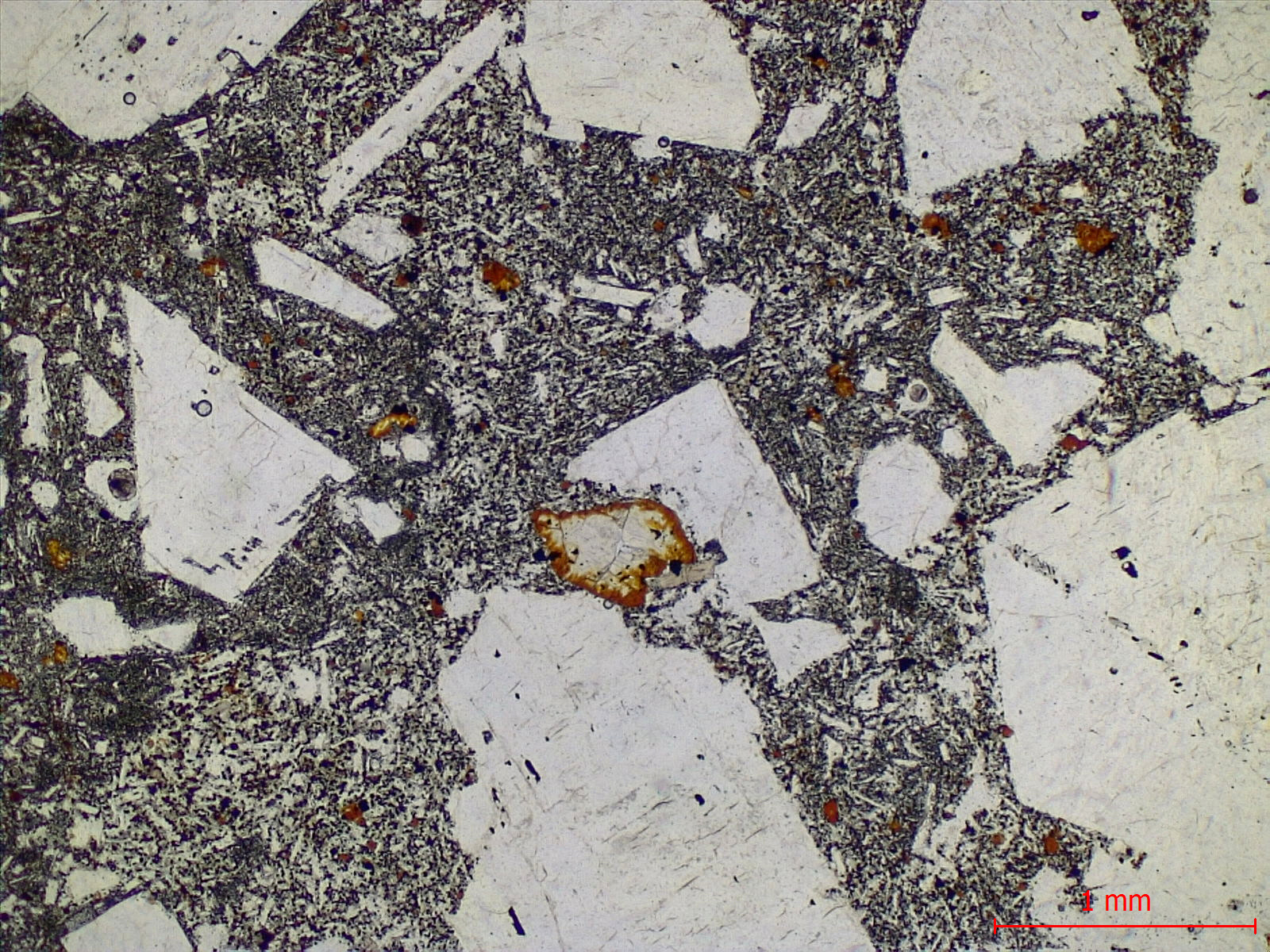 Hawaiite Trachybasalte à plagioclase dit “Roche pintade“ Point chaud de La Réunion Piton des Neiges  