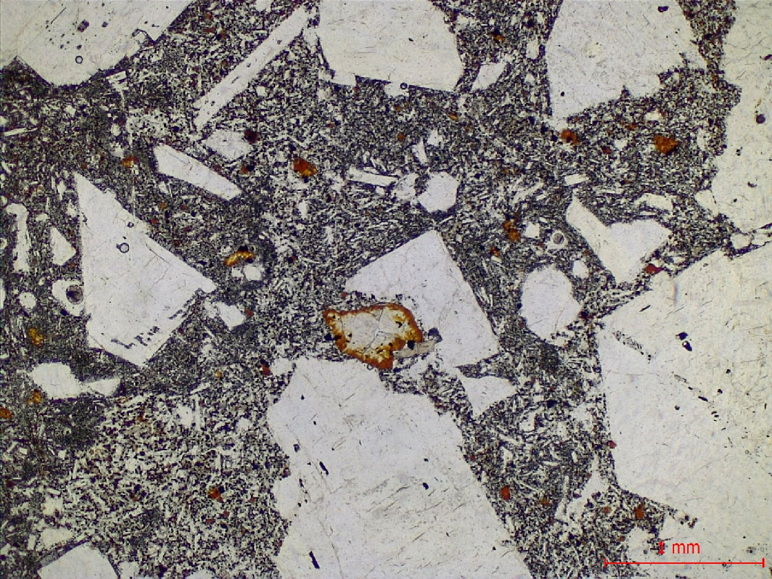  Microscope Hawaiite Trachybasalte à plagioclase dit “Roche pintade“ Point chaud de La Réunion Piton des Neiges  