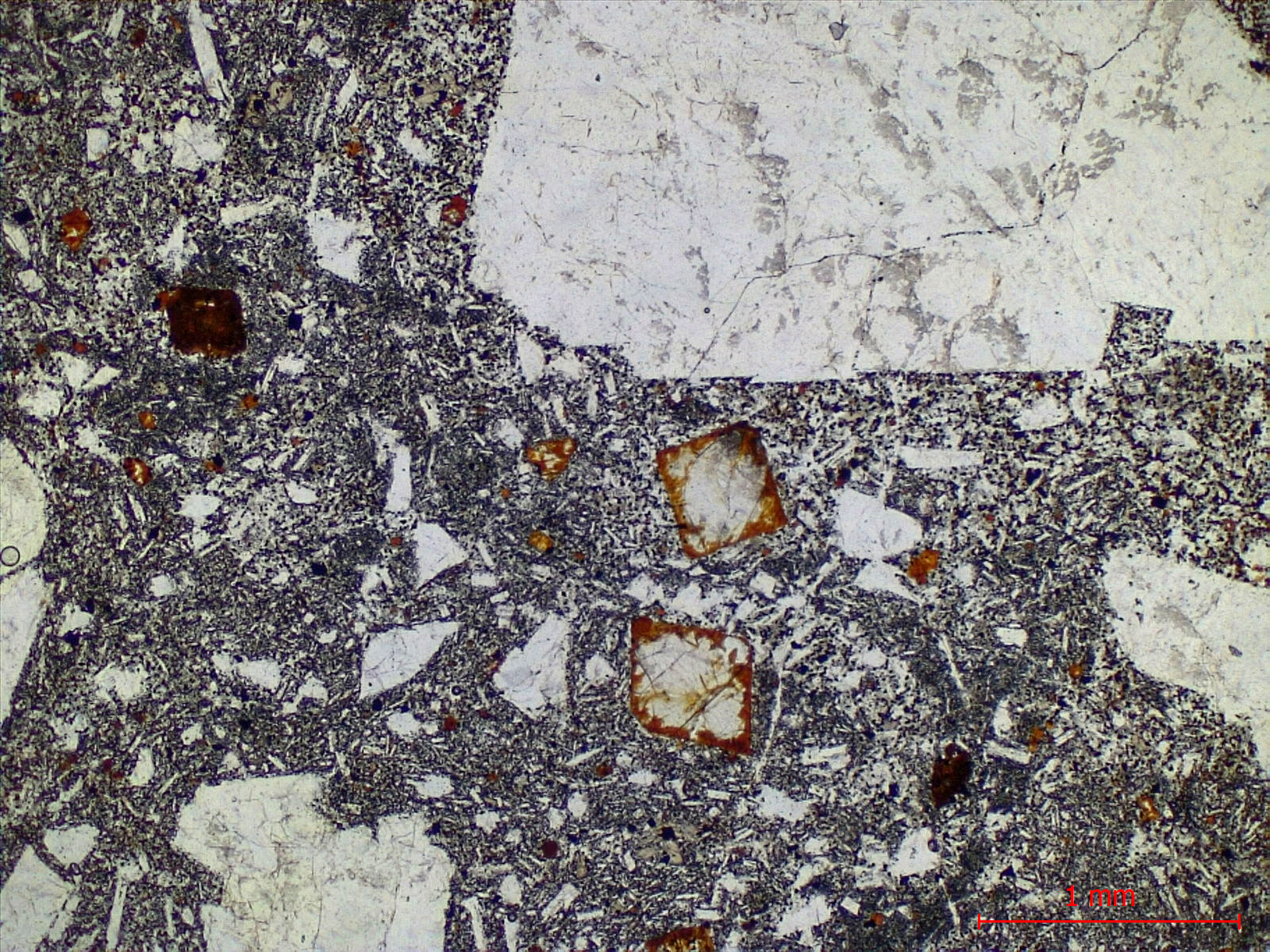 Hawaiite Trachybasalte à plagioclase dit “Roche pintade“ Point chaud de La Réunion Piton des Neiges  