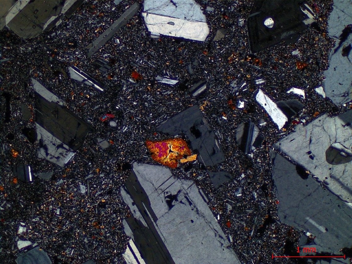  Microscope Hawaiite Trachybasalte à plagioclase dit “Roche pintade“ Point chaud de La Réunion Piton des Neiges  