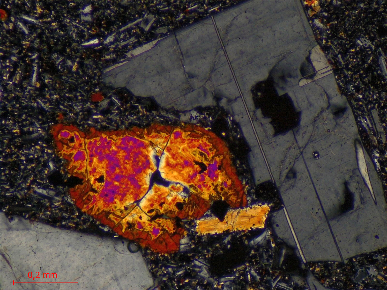 Hawaiite Trachybasalte à plagioclase dit “Roche pintade“ Point chaud de La Réunion Piton des Neiges  