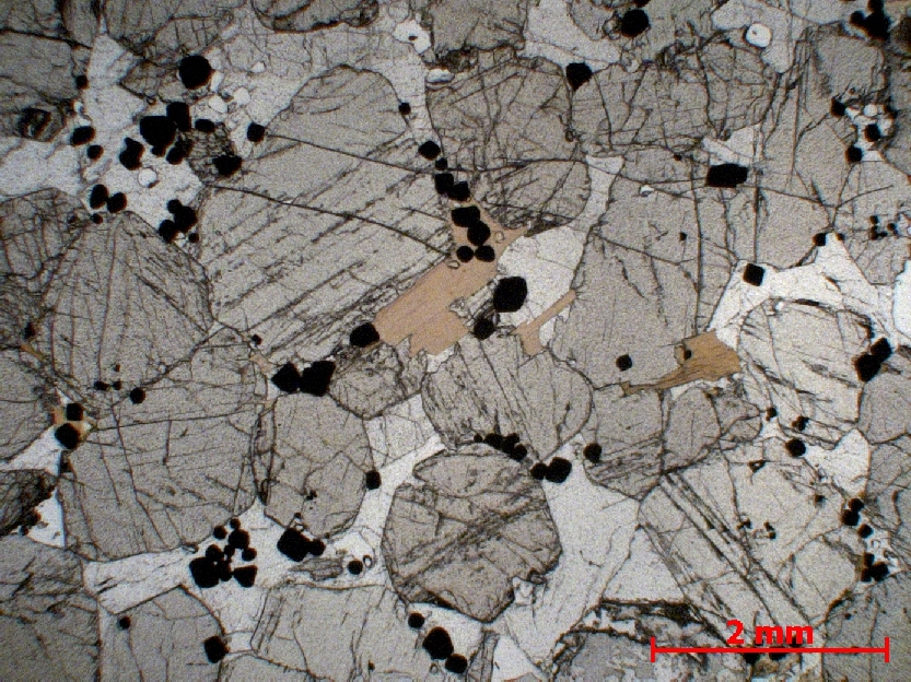  Microscope Pyroxénite Orthopyroxénite du complexe magmatique du Bushveld Bushveld Bushveld, Zone inférieure Bogalatladi Jagdlust Mine