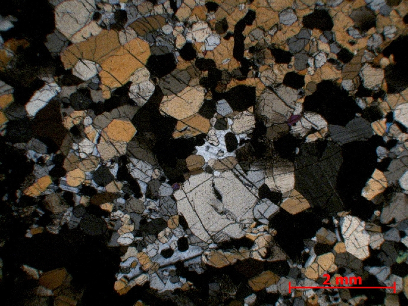  Microscope Pyroxénite  Pyroxénite du complexe magmatique du Bushveld Bushveld Bushveld, zone critique, Merenski Reef  Maandagshoek