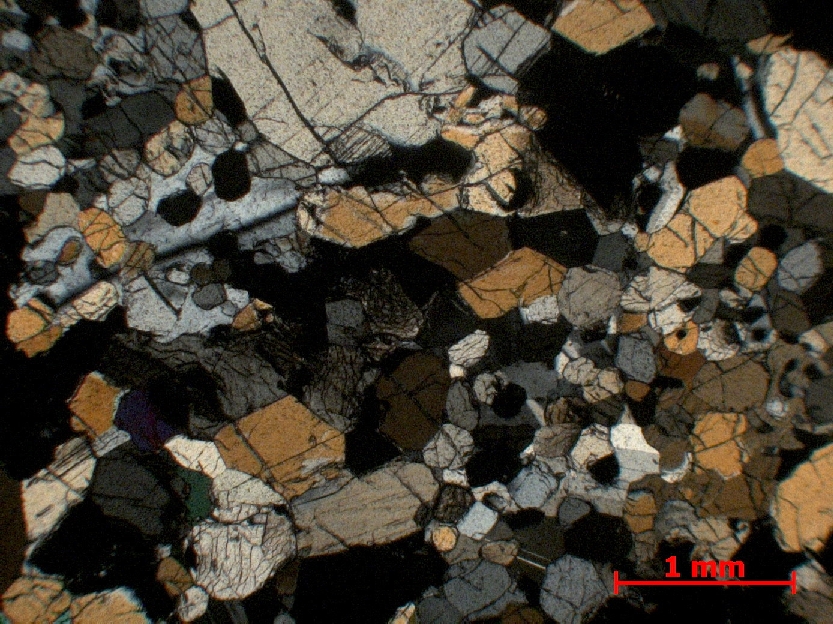  Microscope Pyroxénite  Pyroxénite du complexe magmatique du Bushveld Bushveld Bushveld, zone critique, Merenski Reef  Maandagshoek