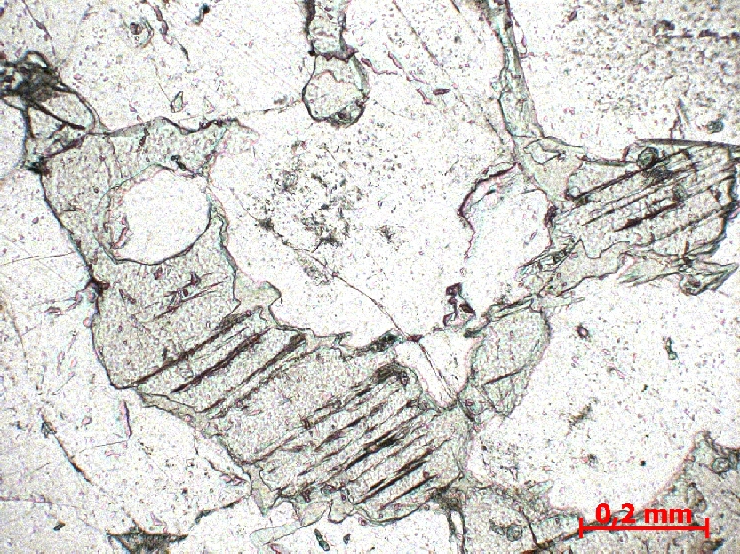  Microscope Anorthosite Anorthosite du complexe magmatique du Bushveld Bushveld Bushveld, zone critique  Tweefontein Mine