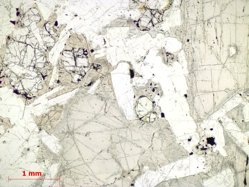  Microscope Gabbro Cumulat gabbroïque d’Ardnamurchan Province magmatique des Hébrides Ardnamurchan  