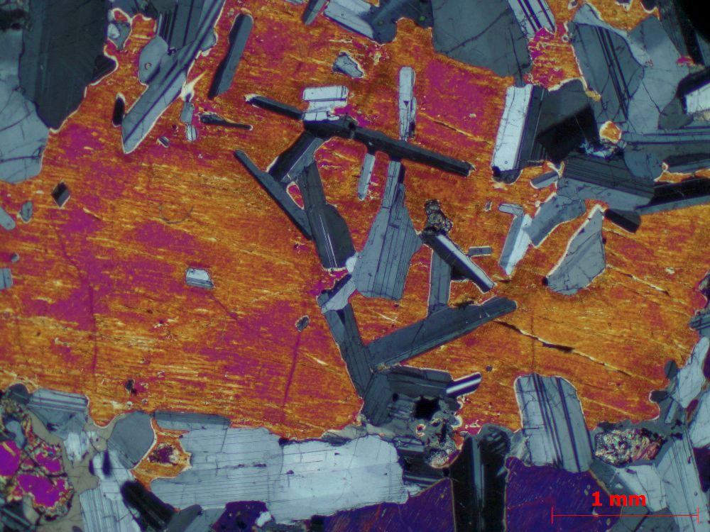  Microscope Gabbro Cumulat gabbroïque d’Ardnamurchan Province magmatique des Hébrides Ardnamurchan  