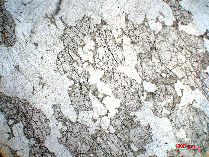  Microscope Gabbro lité Gabbro du Complexe intrusif de Rum Province magmatique des Hébrides Rùm  