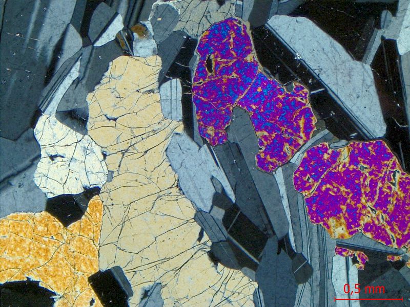  Microscope Gabbro Gabbro isotrope du Complexe intrusif de Rum Province magmatique des Hébrides Rùm  