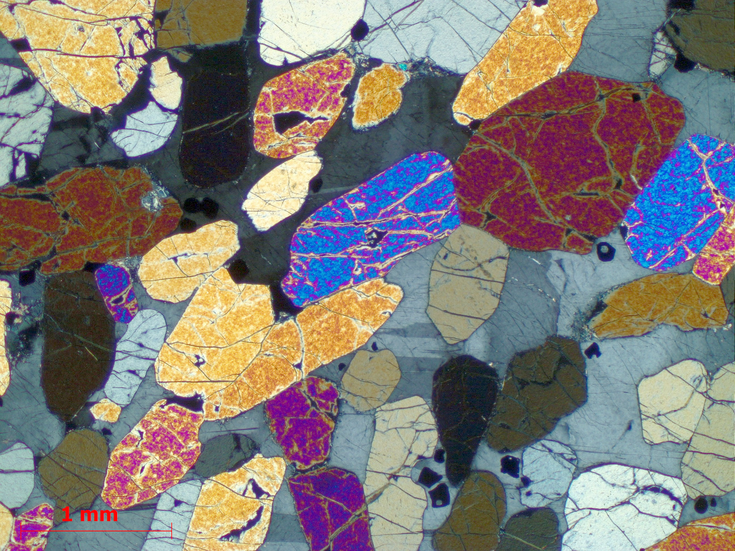 Péridotite à plagioclase Cumulât d’olivine et de plagioclase  du Complexe intrusif de Rum Province magmatique des Hébrides Rùm  