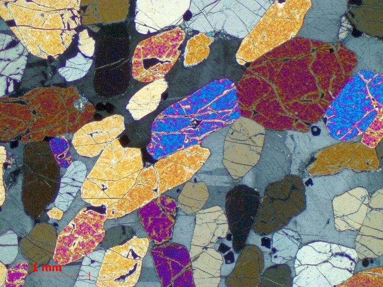  Microscope Péridotite à plagioclase Cumulât d’olivine et de plagioclase  du Complexe intrusif de Rum Province magmatique des Hébrides Rùm  