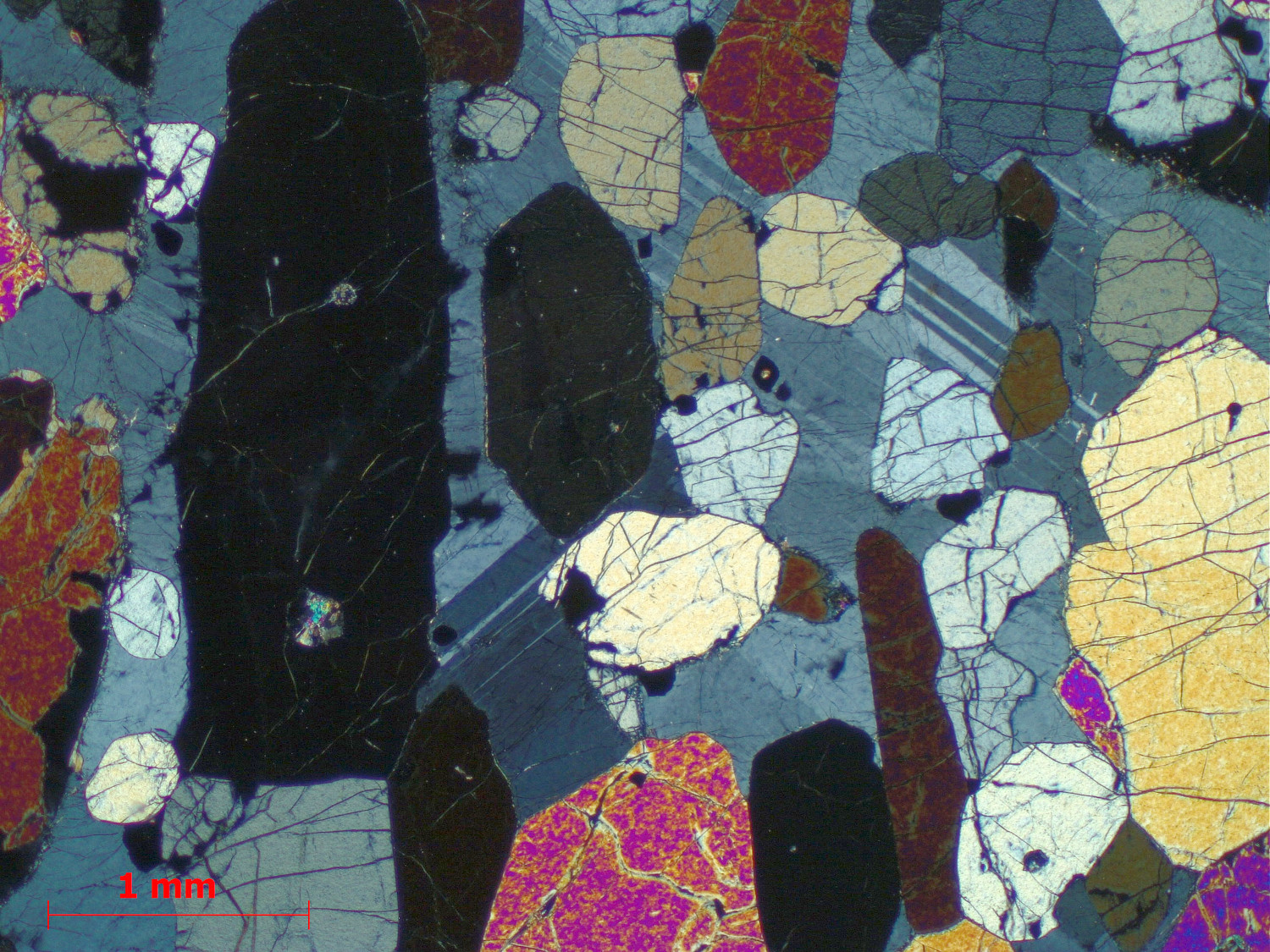 Péridotite à plagioclase Cumulât d’olivine et de plagioclase  du Complexe intrusif de Rum Province magmatique des Hébrides Rùm  