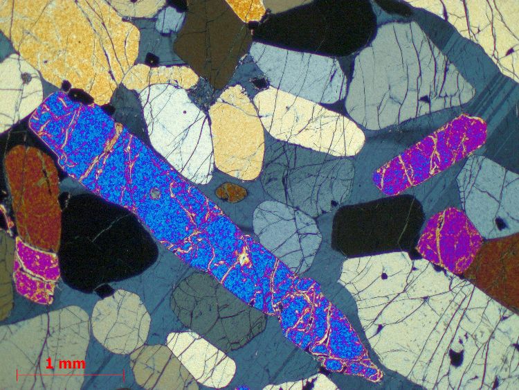  Microscope Péridotite à plagioclase Cumulât d’olivine et de plagioclase  du Complexe intrusif de Rum Province magmatique des Hébrides Rùm  