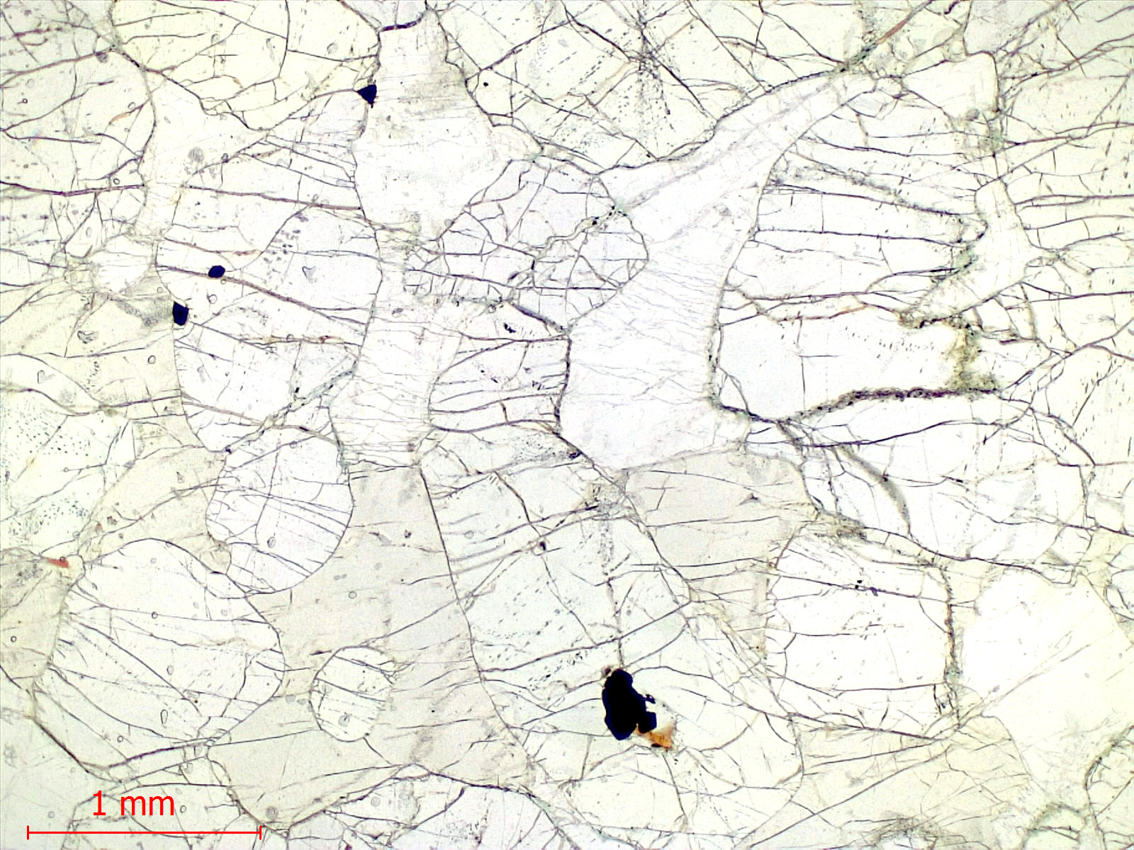 Péridotite à plagioclase Cumulât d’olivine et de plagioclase Province magmatique des Hébrides Rùm  
