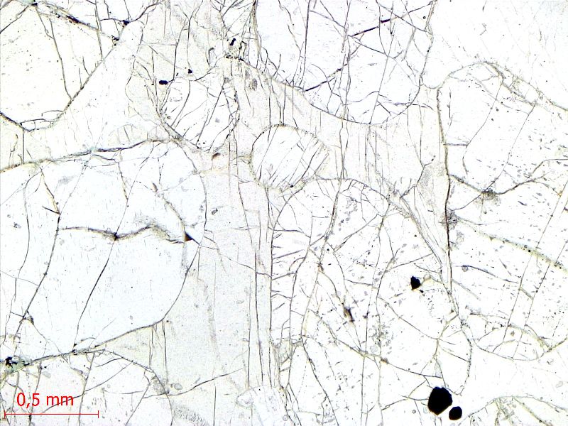  Microscope Péridotite à plagioclase Cumulât d’olivine et de plagioclase Province magmatique des Hébrides Rùm  