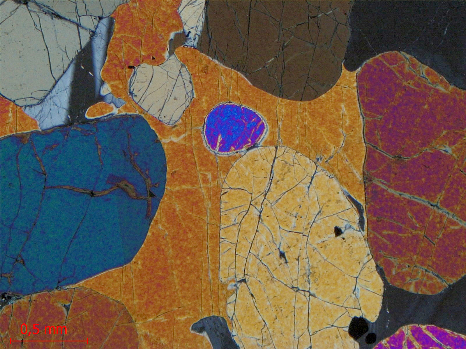 Péridotite à plagioclase Cumulât d’olivine et de plagioclase Province magmatique des Hébrides Rùm  
