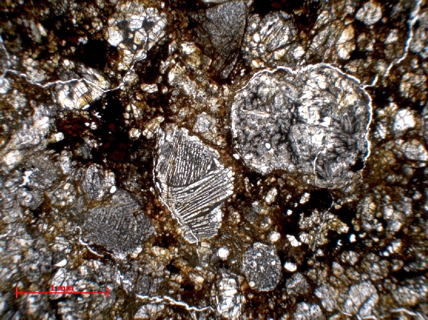 Microscope Chondrite ordinaire Chondrite ordinaire LL4 (S5, W3)    