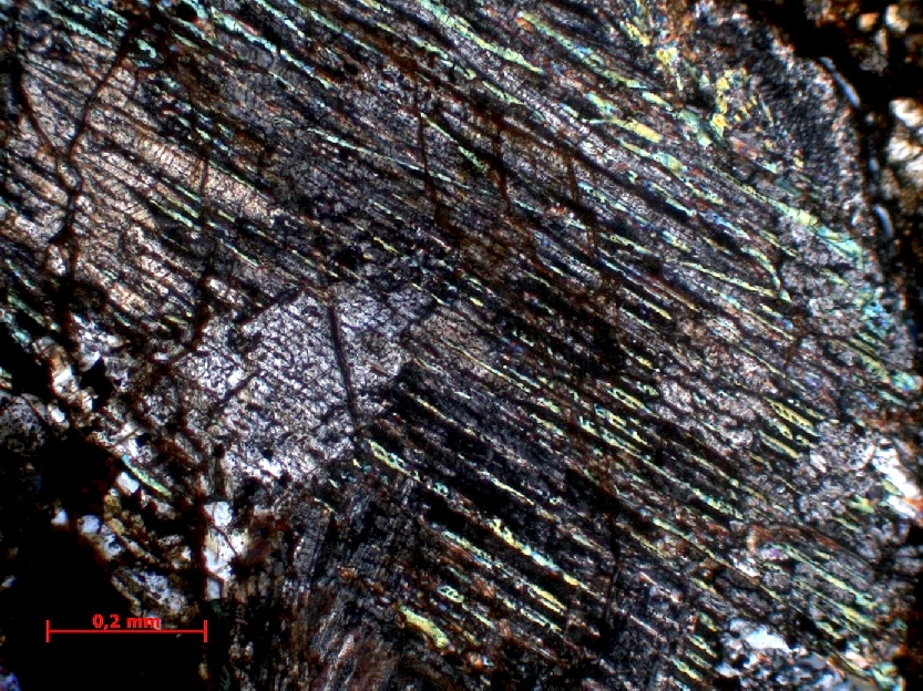  Microscope Chondrite ordinaire Chondrite ordinaire LL4 (S5, W3)    