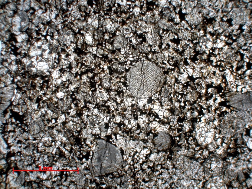  Microscope Chondrite ordinaire Chondrite ordinaire H4 (S2, W4-5)    