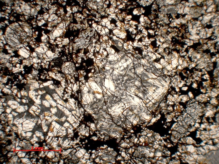  Microscope Chondrite ordinaire Chondrite ordinaire H4 (S2, W4-5)    