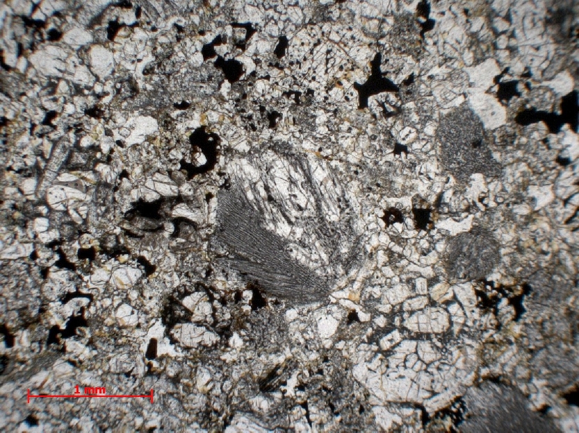  Microscope Chondrite ordinaire Chondrite ordinaire L4 (S1-3, W1)    