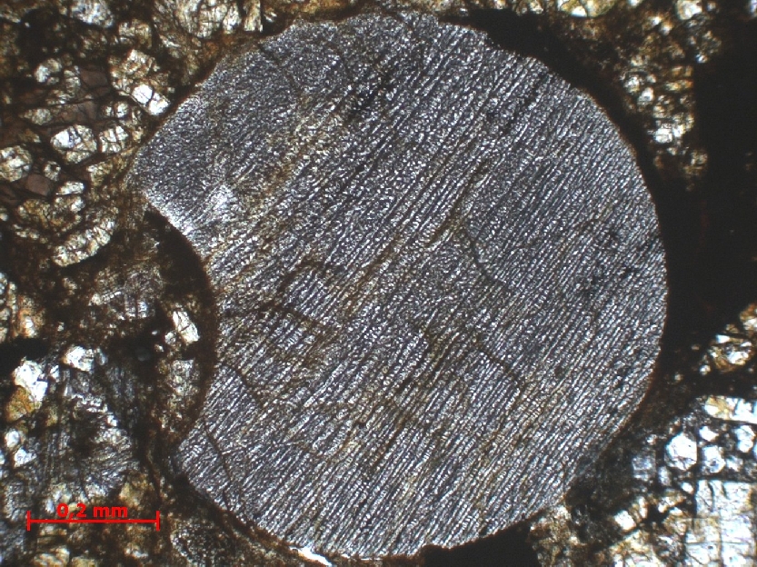  Microscope Chondrite ordinaire Chondrite ordinaire H4/5 (S6, W3)    