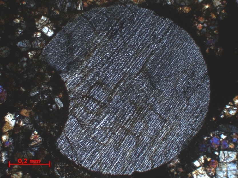  Microscope Chondrite ordinaire Chondrite ordinaire H4/5 (S6, W3)    