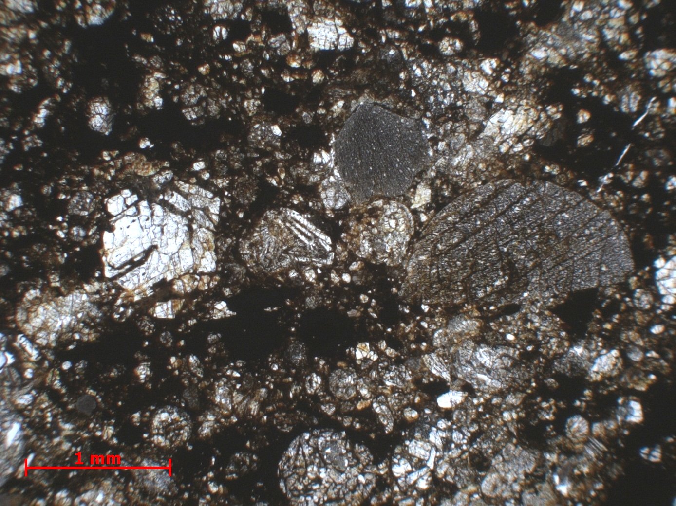 Chondrite ordinaire Chondrite ordinaire H5 (S3, W2)    