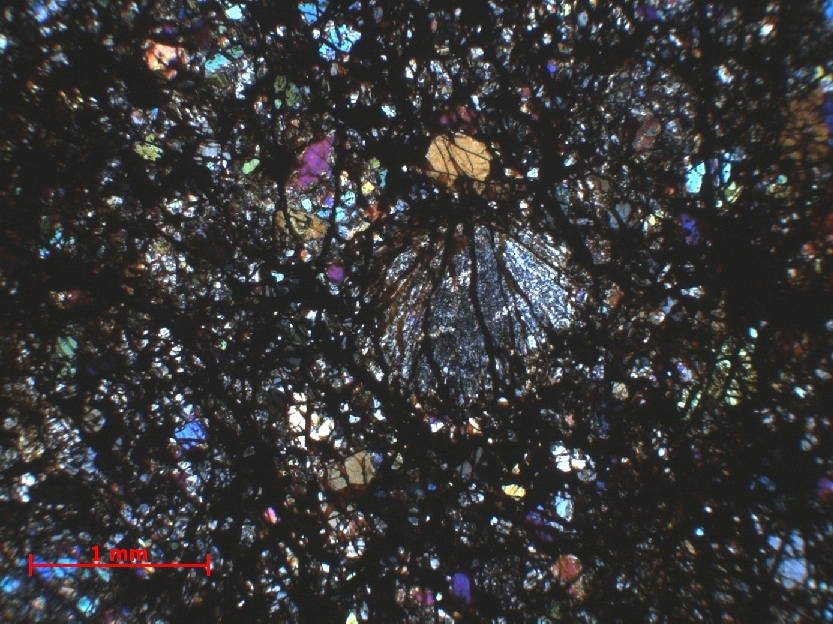  Microscope Chondrite ordinaire Chondrite ordinaire H5 (S1/2, W2)    